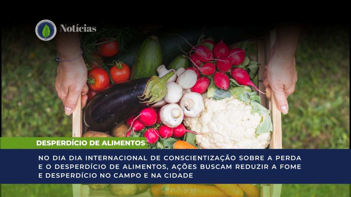 DesperdÍcio De Alimentos No Dia Internacional De Conscientização Sobre